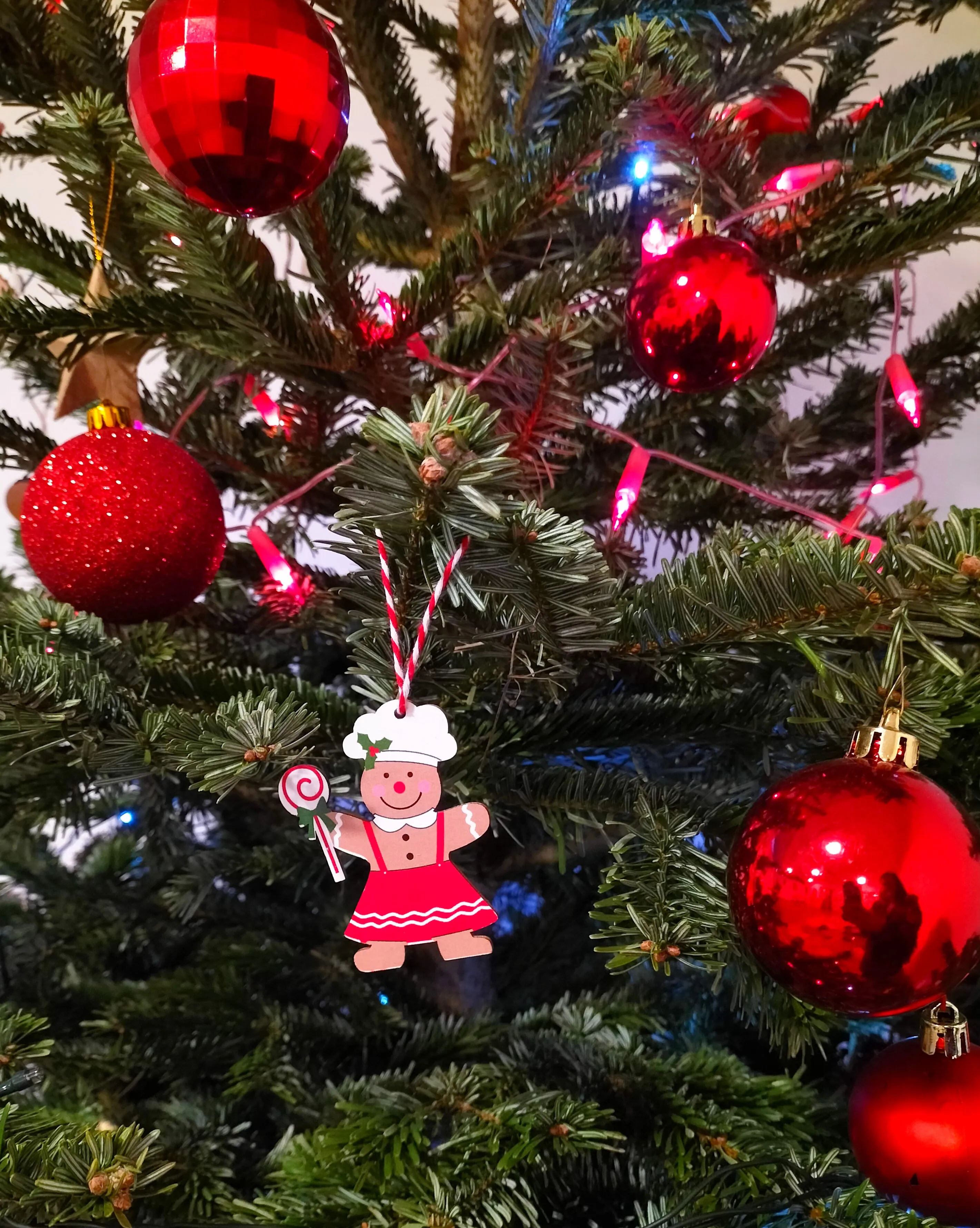 sapin 3..webp